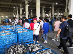 热烈欢迎玉立金华团队参观工厂