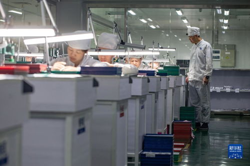 劳动者之歌 钟表维修技师刘中华 33年,用心与 芯 交流